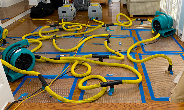 Professional Crawl Space Water Removal technician working in Harlan, IA